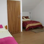 Albatros * Gąski
