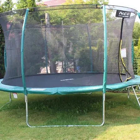 Проживание в семье Albatros