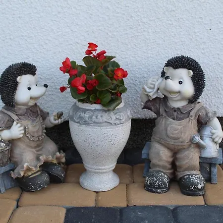 Albatros Проживание в семье Гонски