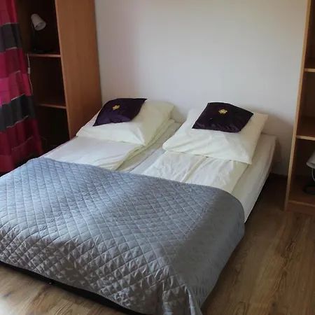 Albatros * Гонски