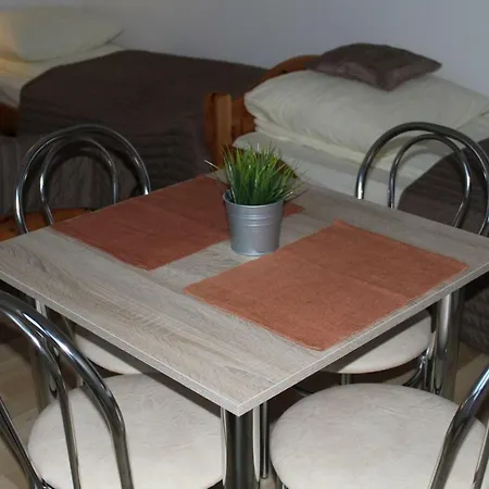 Albatros Проживание в семье