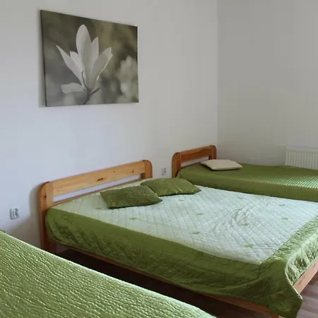 Проживание в семье Albatros